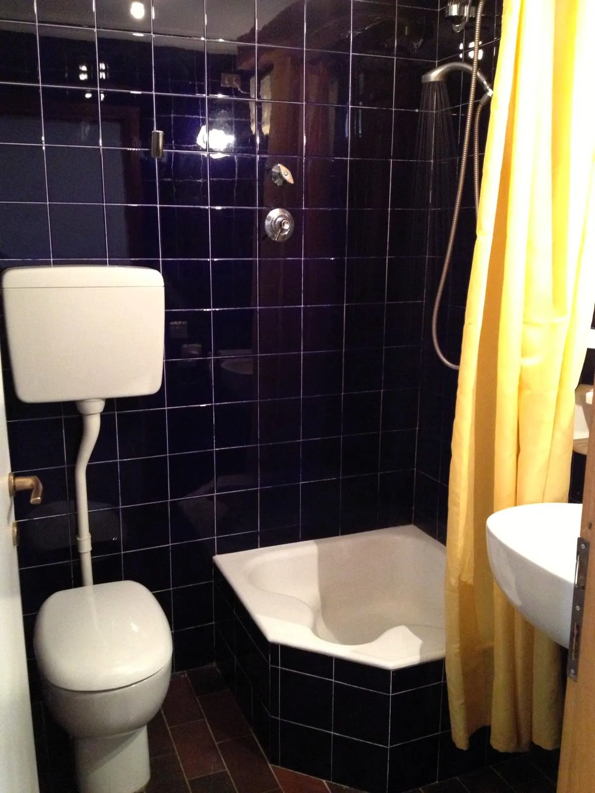 Baño alicatado en azul oscuro, con plato de ducha en esquina