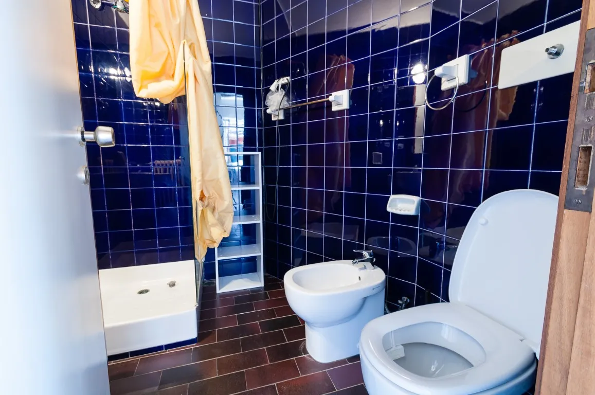 The bathroom with shower tray, bidet and sanitary ware