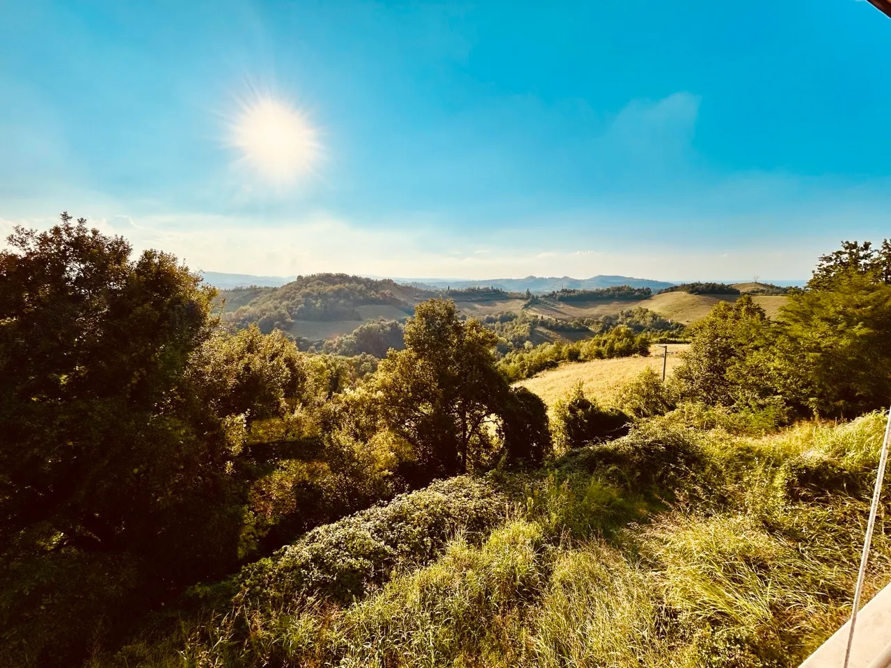 Panorama delle colline bolognesi visto dalla proprietà
